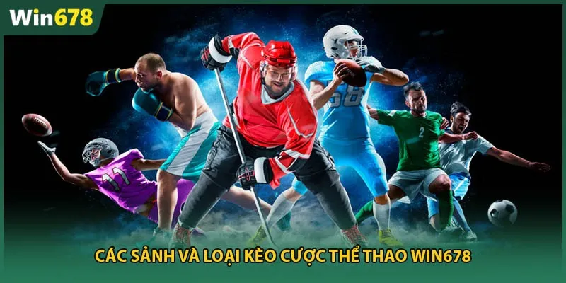 Các môn thể thao đang đứng đầu bxh tháng 10